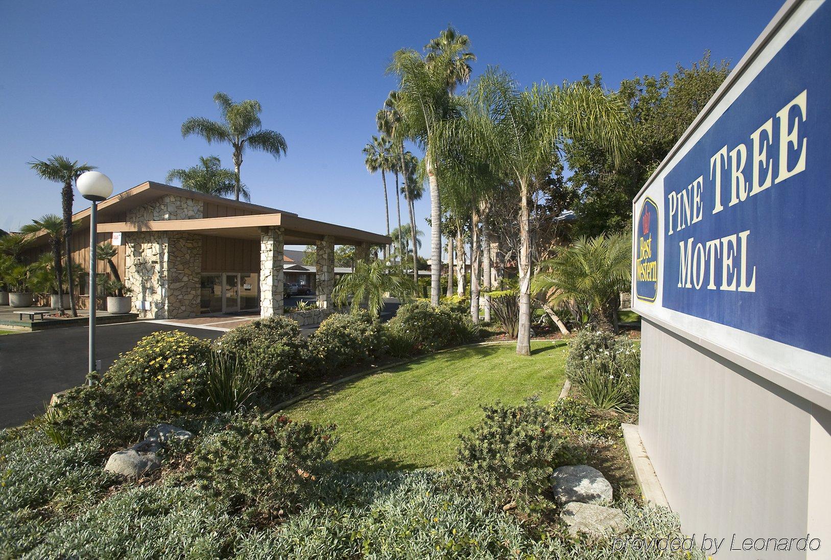 Best Western Pine Tree Motel Chino Exterior photo