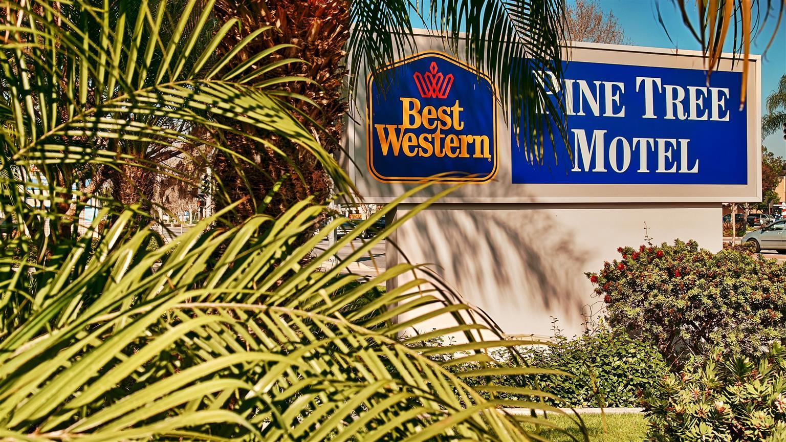 Best Western Pine Tree Motel Chino Exterior photo